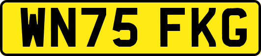 WN75FKG