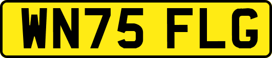 WN75FLG