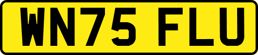 WN75FLU