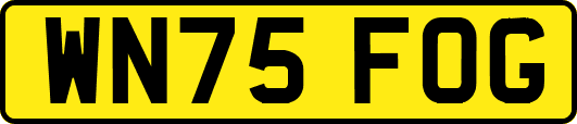 WN75FOG