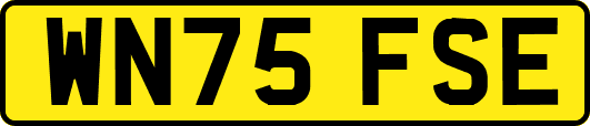 WN75FSE