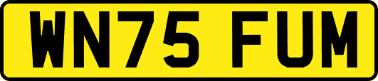 WN75FUM