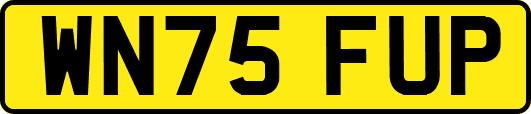 WN75FUP