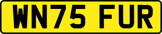 WN75FUR