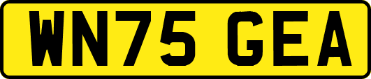 WN75GEA