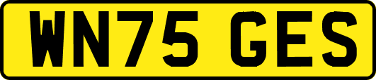 WN75GES