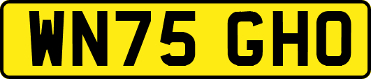 WN75GHO