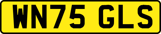 WN75GLS