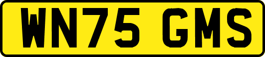 WN75GMS