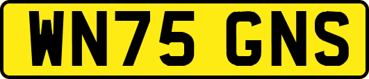 WN75GNS