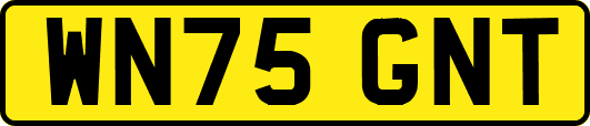 WN75GNT
