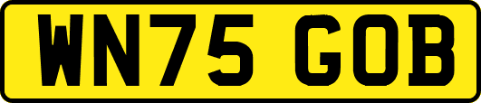 WN75GOB
