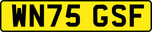 WN75GSF