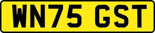 WN75GST