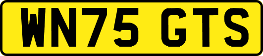 WN75GTS