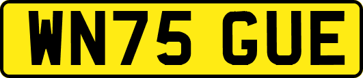 WN75GUE