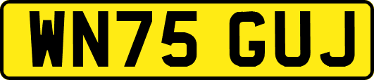 WN75GUJ