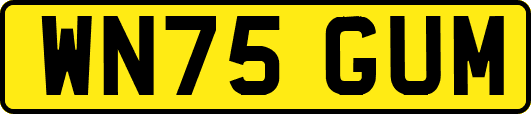 WN75GUM