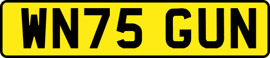 WN75GUN