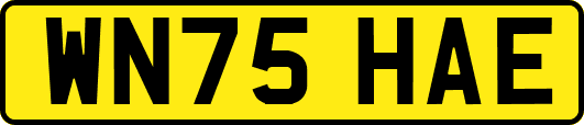 WN75HAE