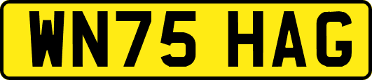 WN75HAG