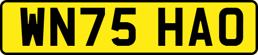 WN75HAO