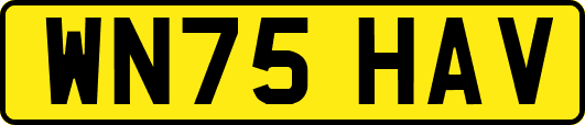 WN75HAV