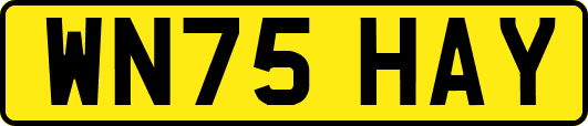 WN75HAY