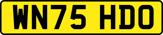 WN75HDO