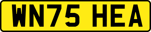 WN75HEA