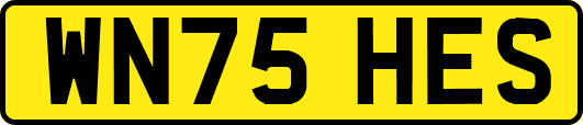 WN75HES