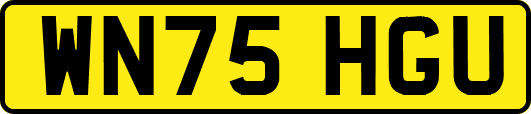 WN75HGU