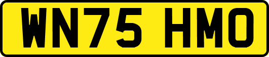 WN75HMO