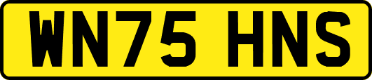WN75HNS