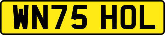 WN75HOL
