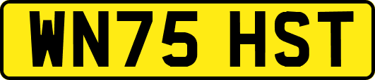 WN75HST