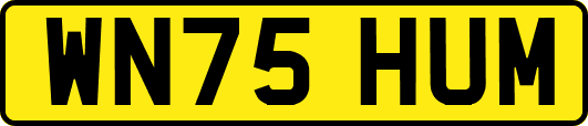WN75HUM