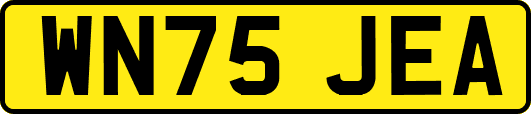WN75JEA