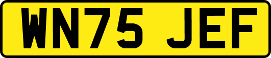 WN75JEF