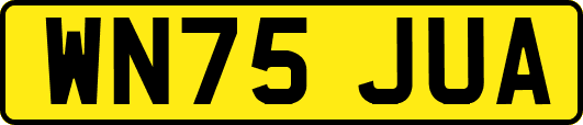 WN75JUA