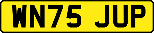 WN75JUP