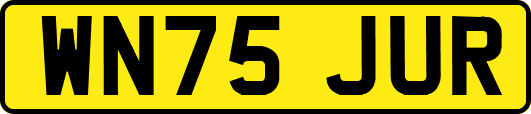WN75JUR