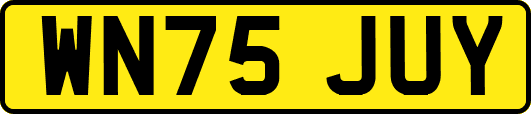 WN75JUY