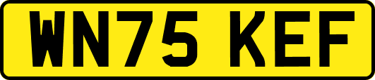WN75KEF
