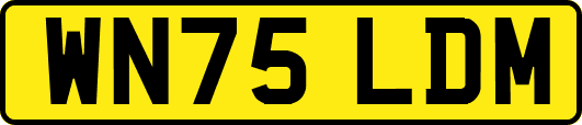 WN75LDM