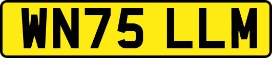 WN75LLM