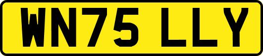 WN75LLY