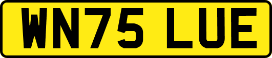 WN75LUE