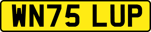 WN75LUP