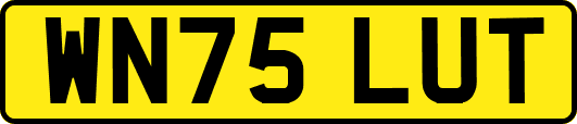 WN75LUT